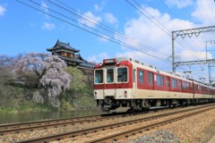 郡山城の枝垂桜近鉄電車