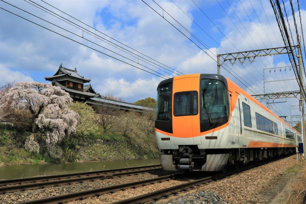 郡山城の枝垂桜と近鉄特急5