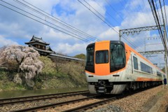 郡山城の枝垂桜と近鉄特急5