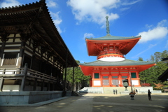 高野山金剛峰寺4