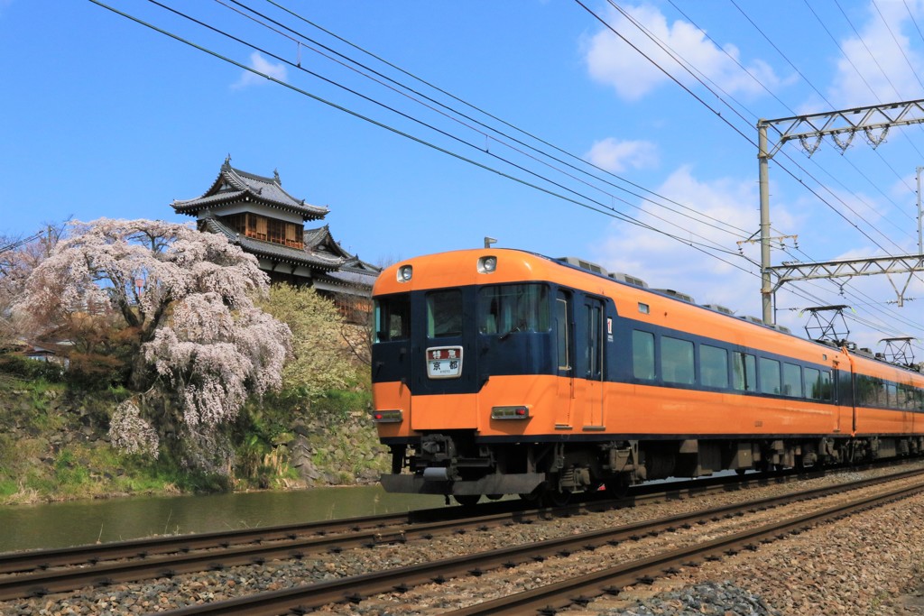 郡山城の枝垂桜と近鉄特急3