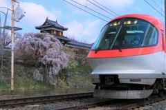 郡山城の枝垂桜と近鉄特急1