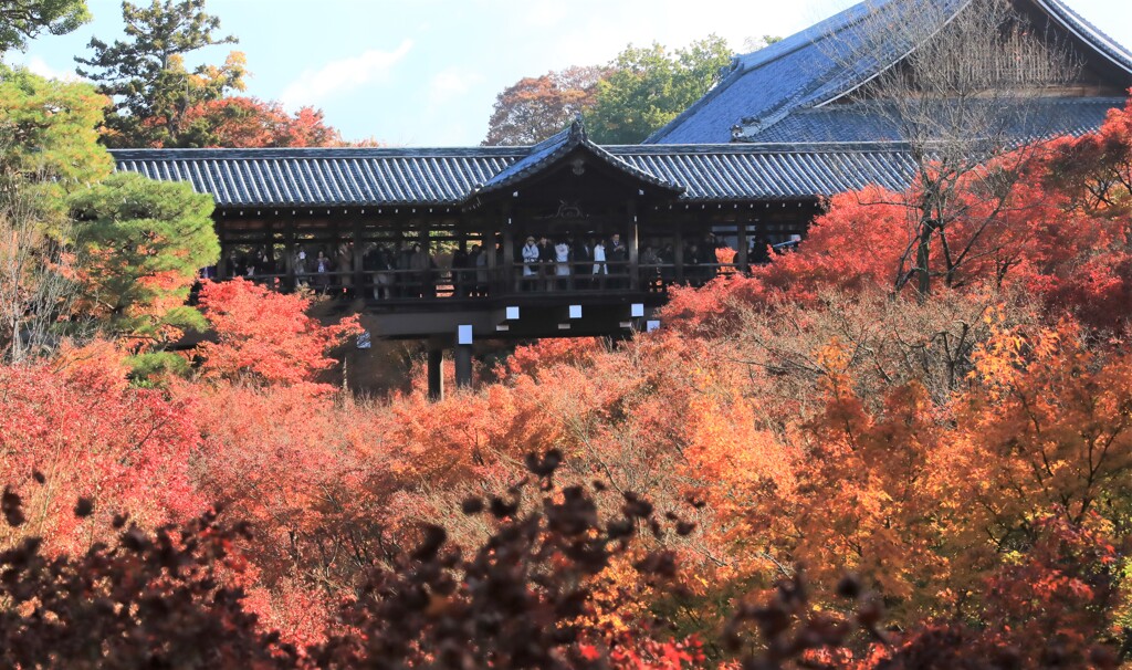 東福寺紅葉通天橋2
