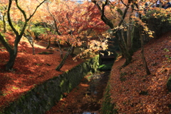 普門院庭園紅葉3
