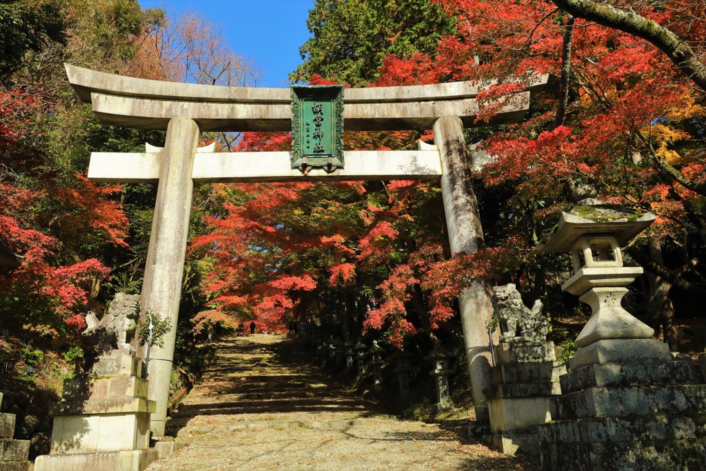 胡宮神社参道