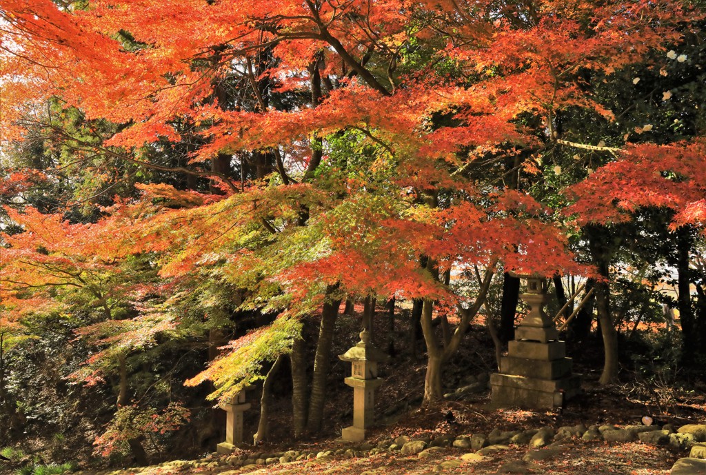 胡宮神社庭園 (2)