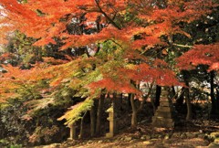 胡宮神社庭園 (2)