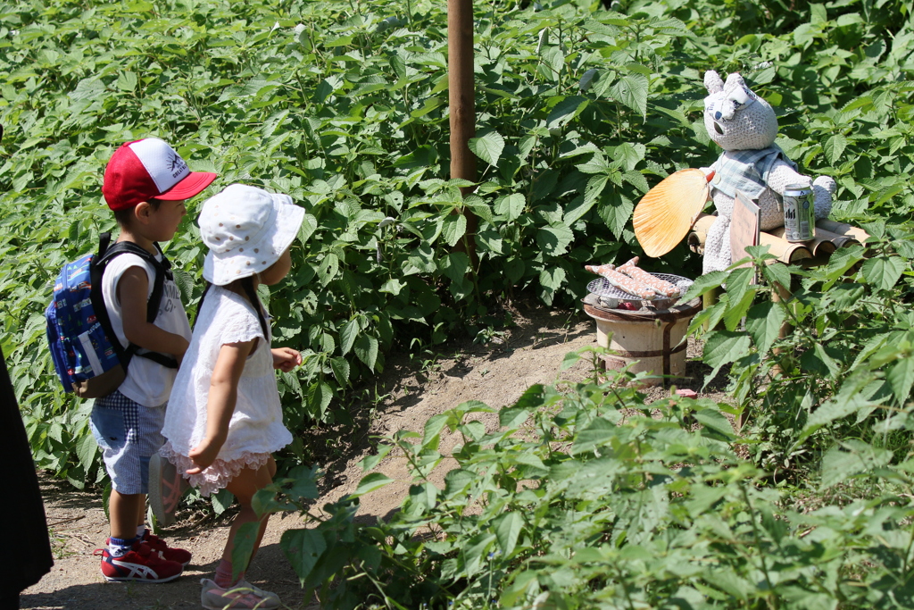 秋刀魚焼けてるよ
