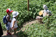 秋刀魚焼けてるよ