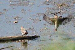 仲良くしてください