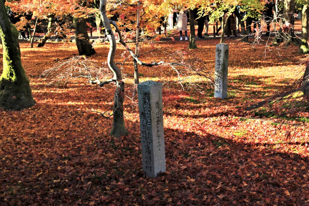 普門院庭園紅葉4