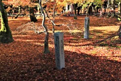 普門院庭園紅葉4