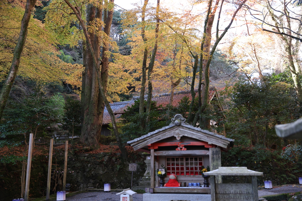 石山寺紅葉1