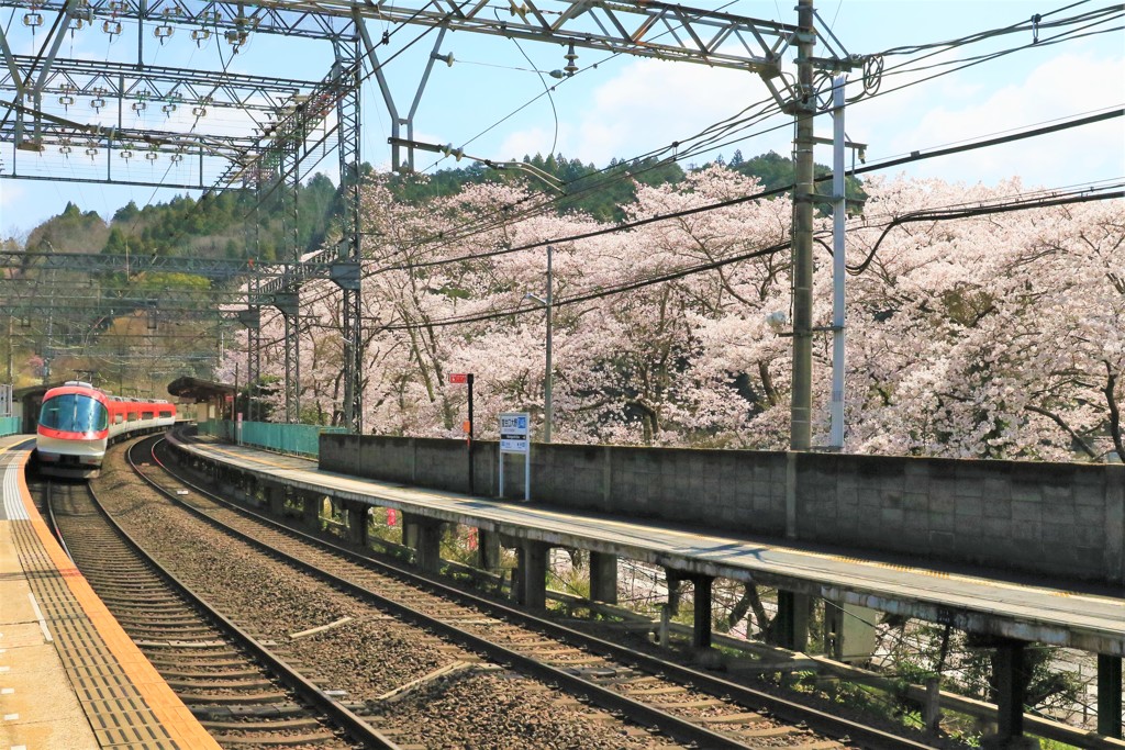 待ちに待った春3