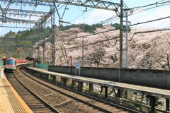 待ちに待った春3