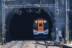 やっと出ました2