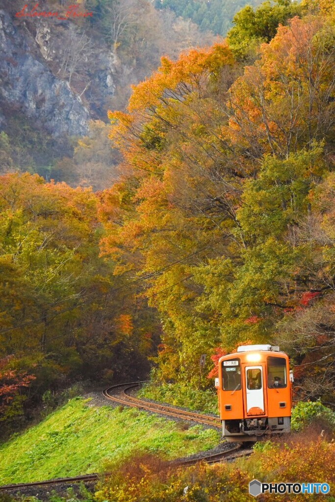 里山を抜けて