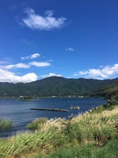 08BCF974-803A-4302-9E6D-7771F78206E9