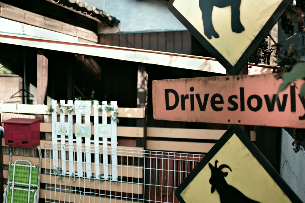 Drive slowly