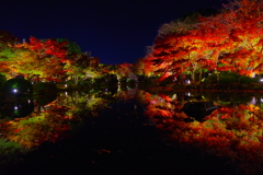 紅葉に包まれて