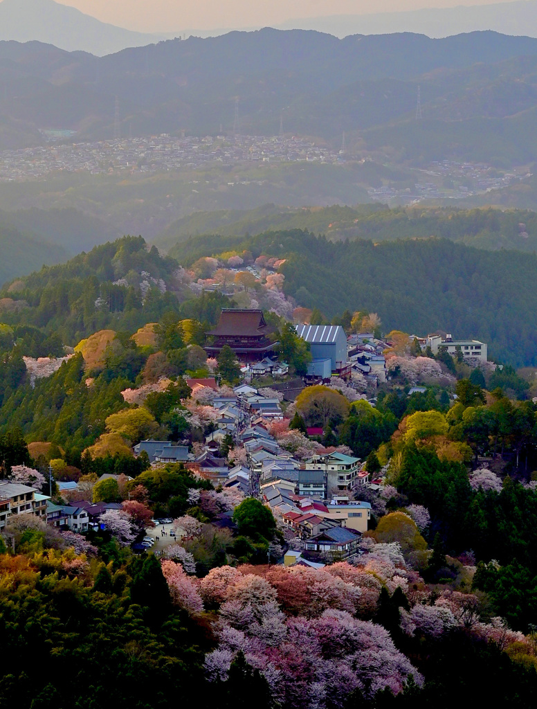 吉野山展望台からの眺め