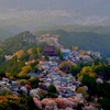 吉野山展望台からの眺め