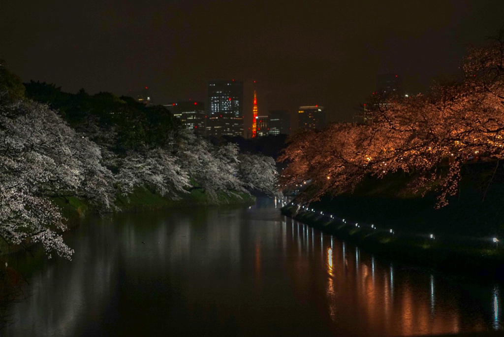 ４年ぶり