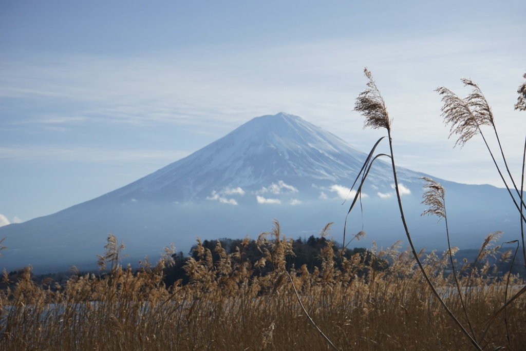 冬の富士