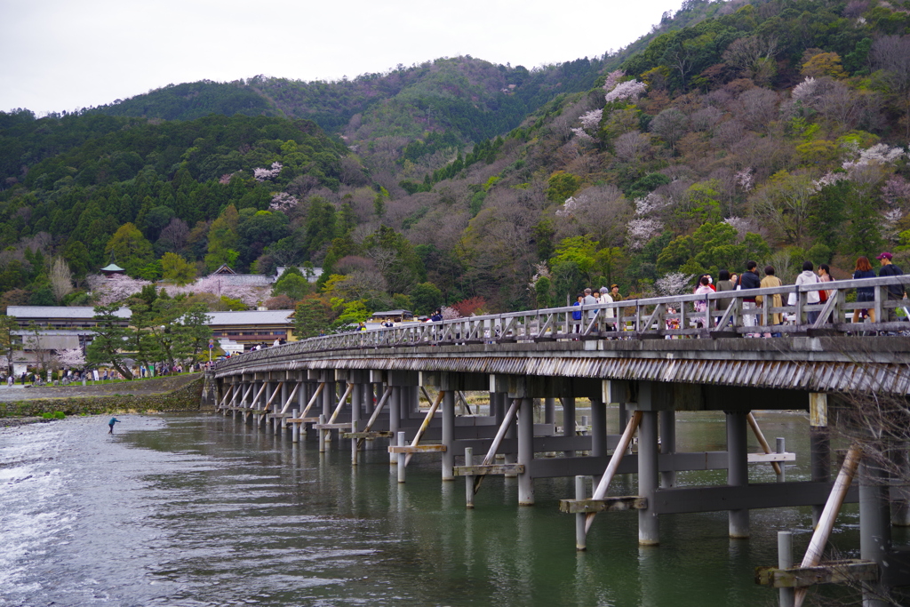 渡月橋
