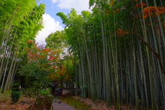 衣笠山 地蔵院