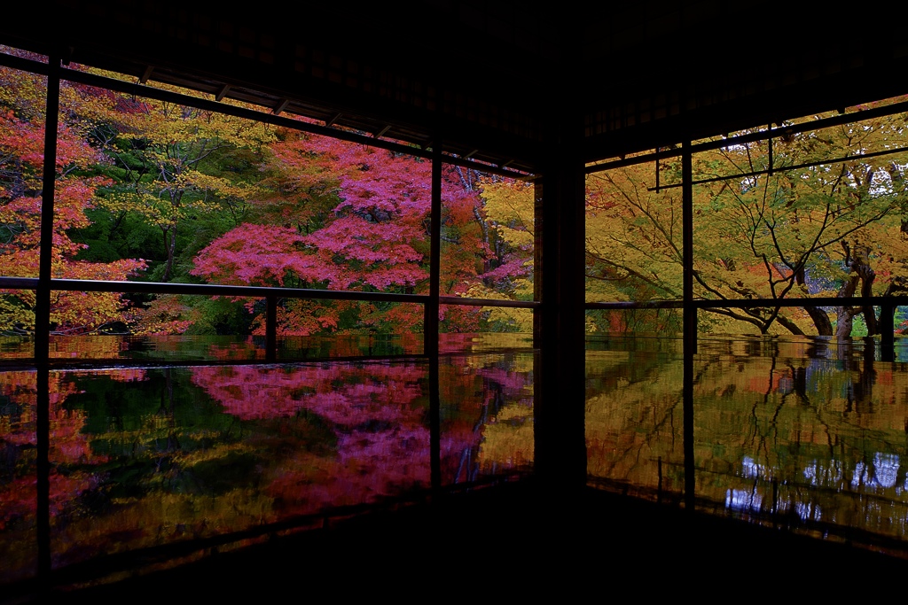 瑠璃光院