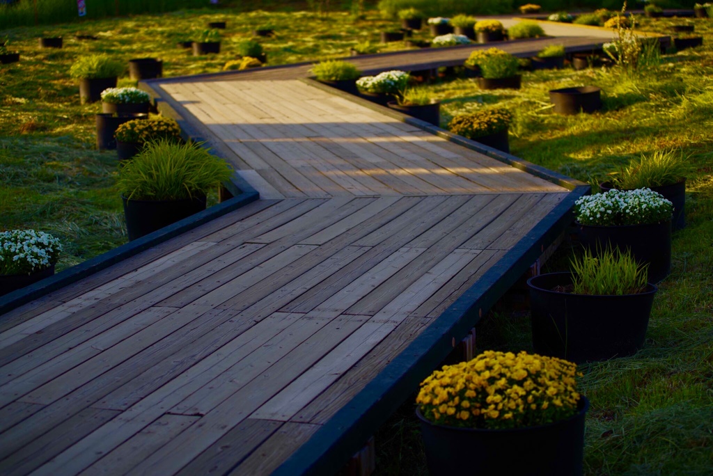 大石公園 花回廊