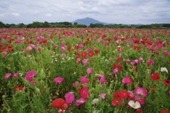 小貝川ふれあい公園