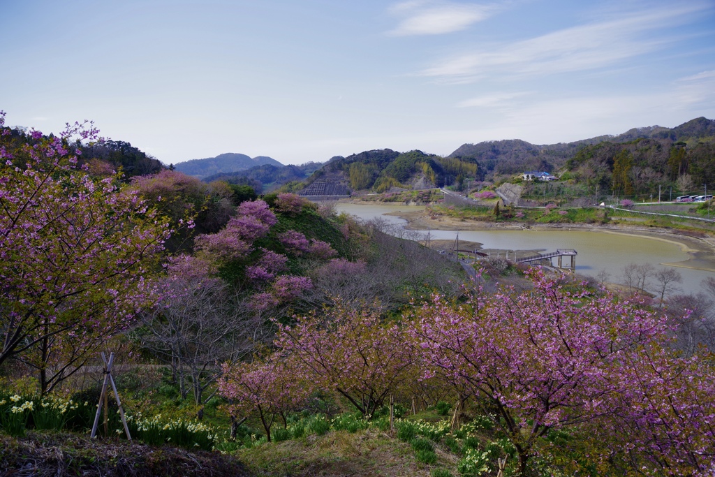 佐久間ダム湖親水公園