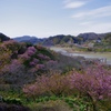 佐久間ダム湖親水公園