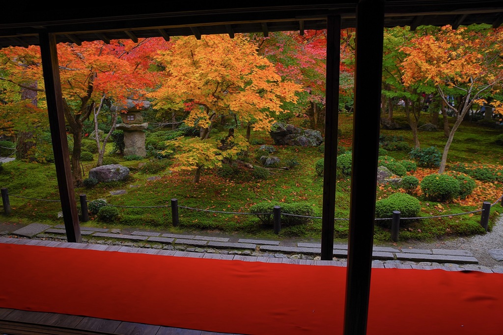 圓光寺