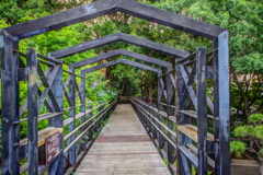 イントゥザグリーン