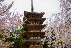 醍醐寺五十塔