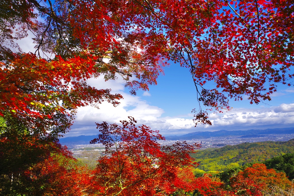 善峯寺から京都を見下ろす