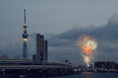 スカイツリーと花火