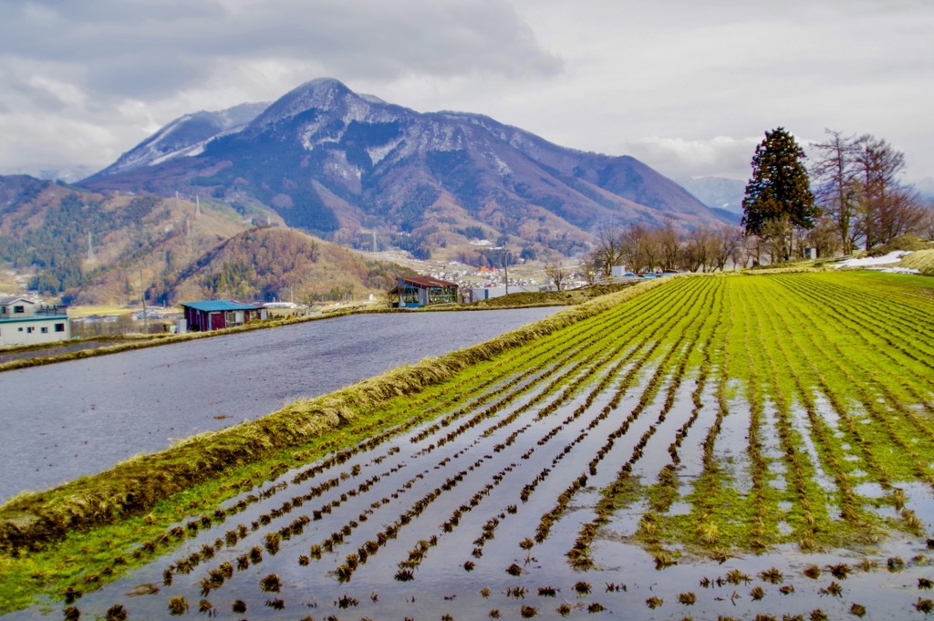 棚田のある風景