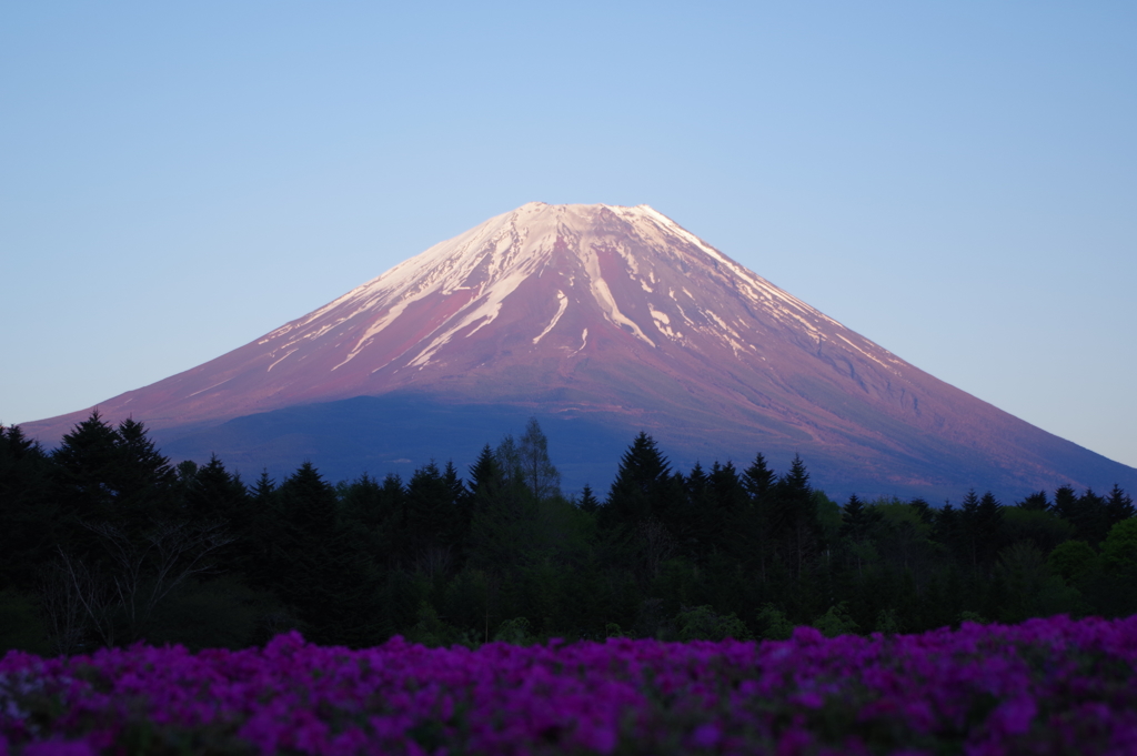 MT FUJI