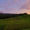 大山千枚田 の夕暮れ