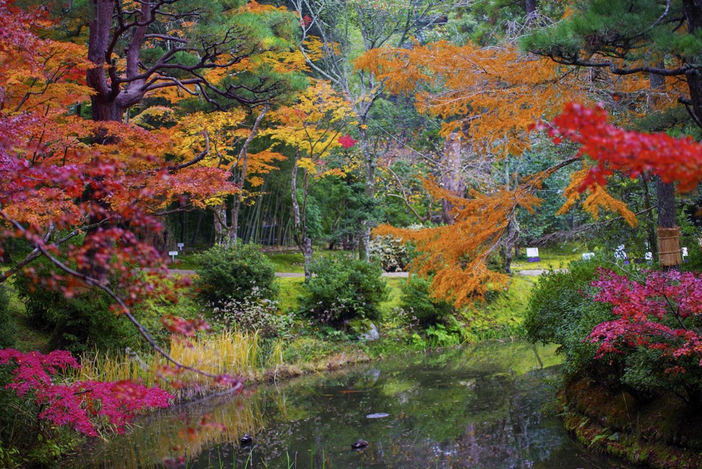 春日大社神苑・萬葉植物園