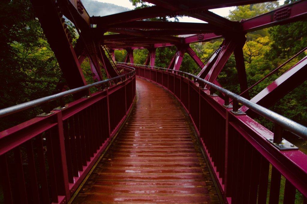 雨のあやとり橋
