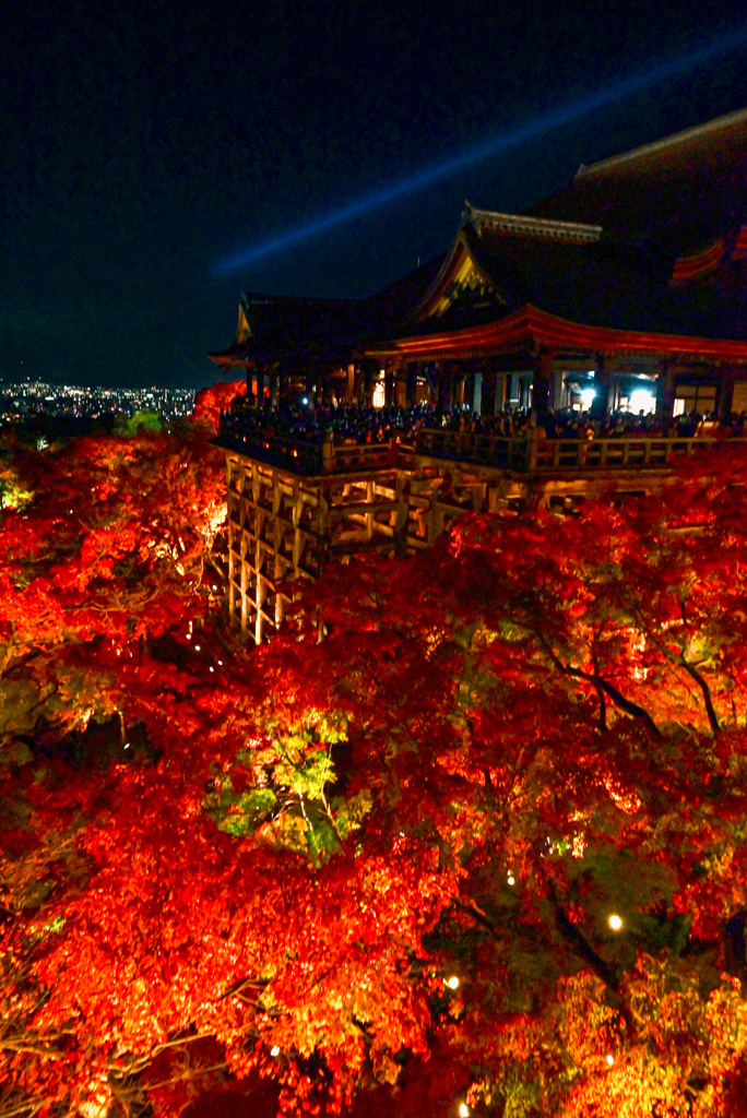 清水寺ライトアップ