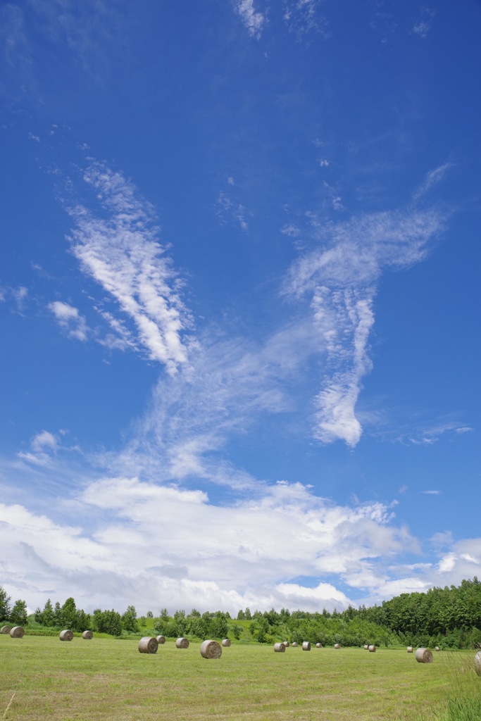 ヒッヒーンな雲
