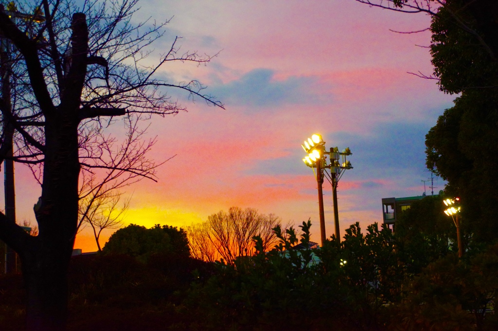 夕焼け