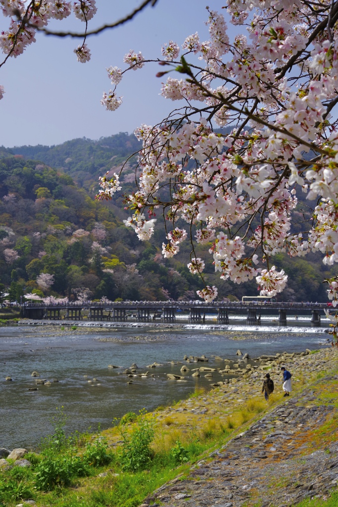 嵐山　渡月橋