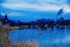 寒くなりましたね〜